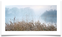 9.2 Tryptich 1 - Original - Chris Beesley